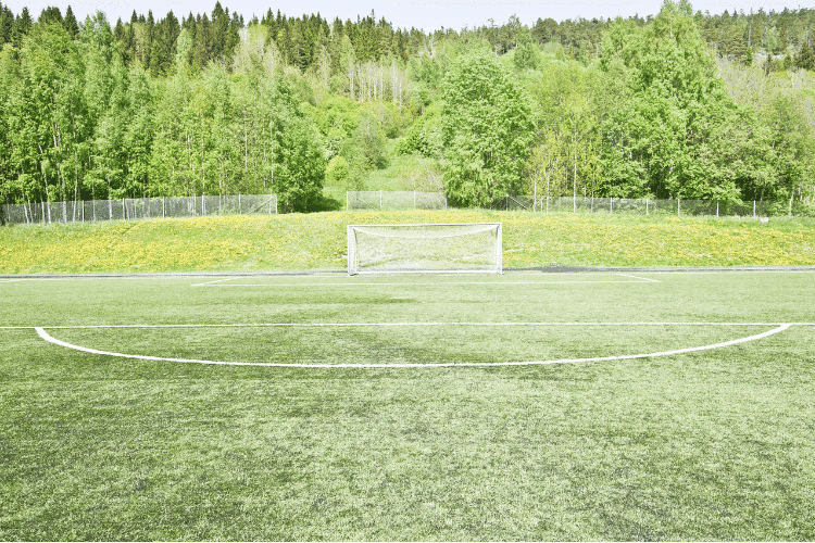 Penalty Area of a Football Pitch